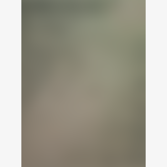 BLUR VI - Canvas Print