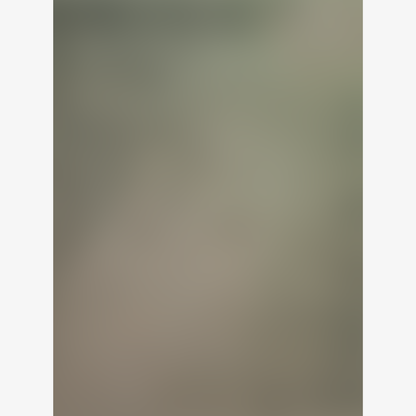 BLUR VI - Art Print