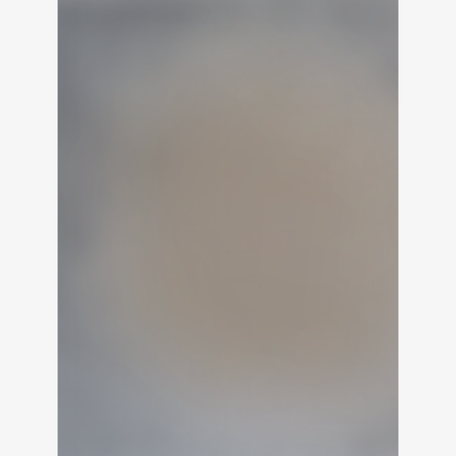 BLUR V - Canvas Print